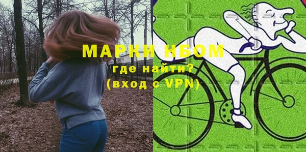 гидра Верхний Тагил